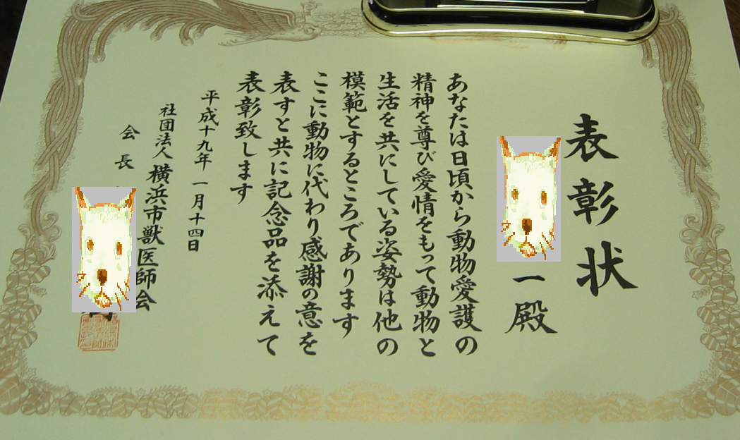 d0075649_10214994.jpg