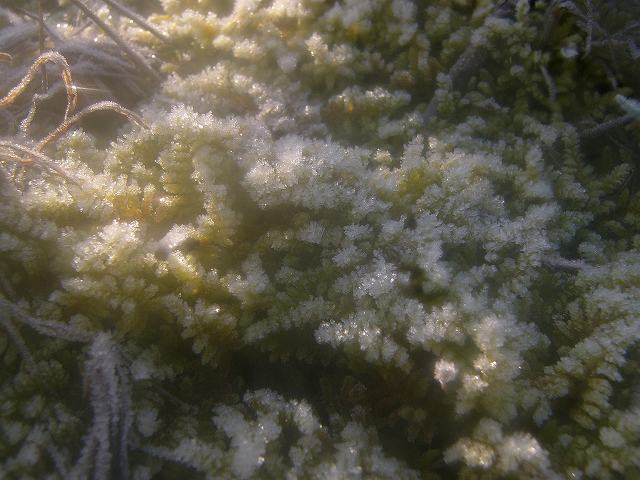 e0063851_15224119.jpg