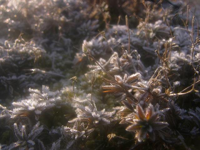 e0063851_15225799.jpg