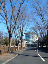 e0080452_182784.jpg