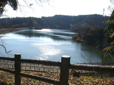 b0045357_8223592.jpg