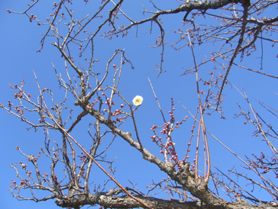 b0045357_8292242.jpg