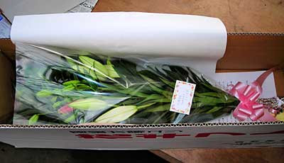 e0097770_13251767.jpg