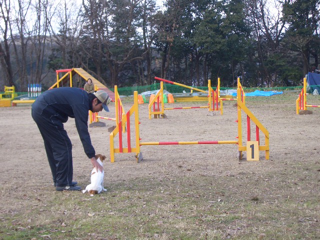 f0120770_2047387.jpg