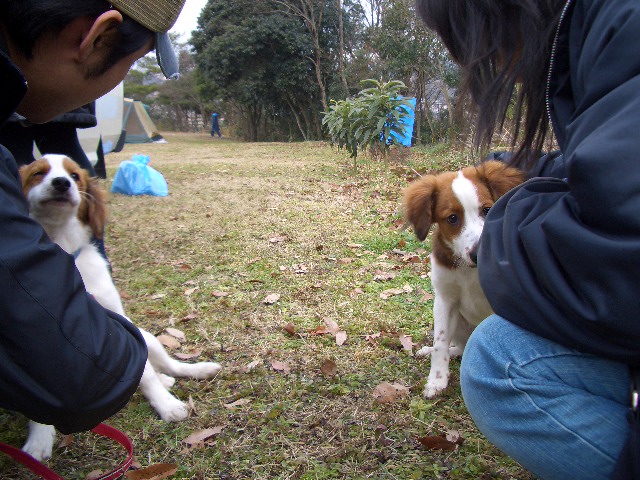 f0120770_2165929.jpg