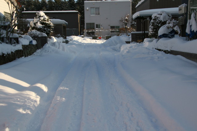 e0100772_21174331.jpg