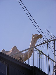 f0049479_06614.jpg