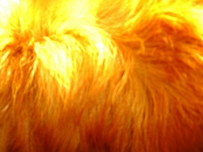 c0078480_22372310.jpg