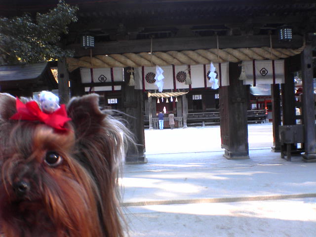 c0031582_9583456.jpg
