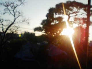 f0115787_114815.jpg