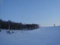 a0053203_17435058.jpg