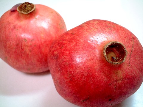 f0043911_233506.jpg