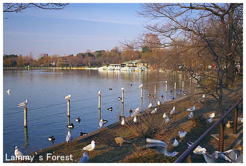 f0014815_21565569.jpg