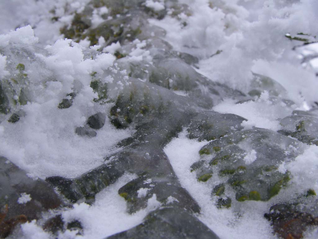 b0062024_20473761.jpg