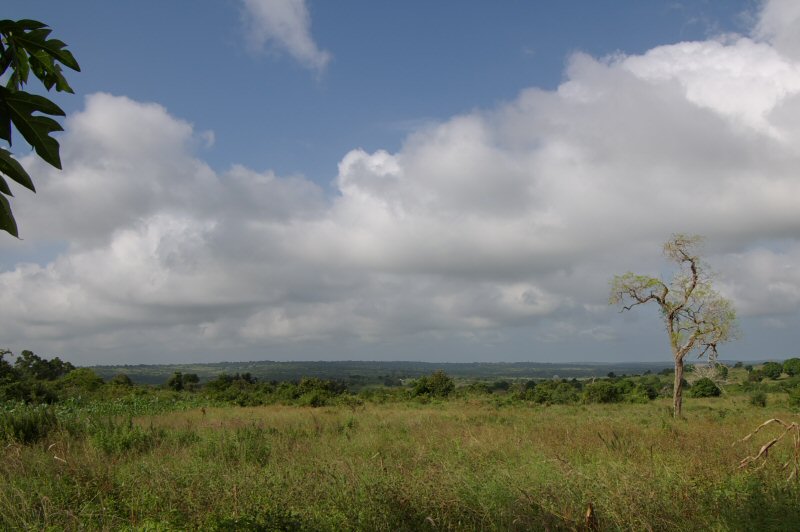 d0032931_21513744.jpg