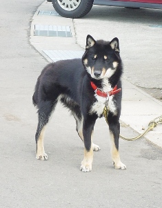 f0064432_232417100.jpg