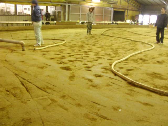 f0121244_26674.jpg