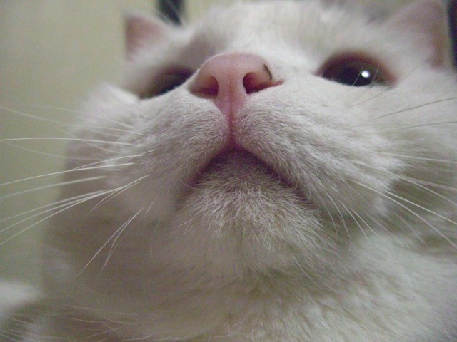 b0097145_032568.jpg