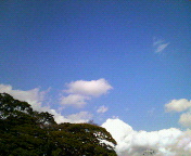 f0115546_23474193.jpg