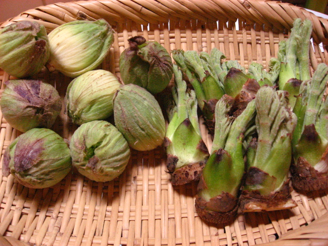 b0097747_9501383.jpg