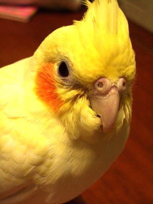 b0081348_16491161.jpg