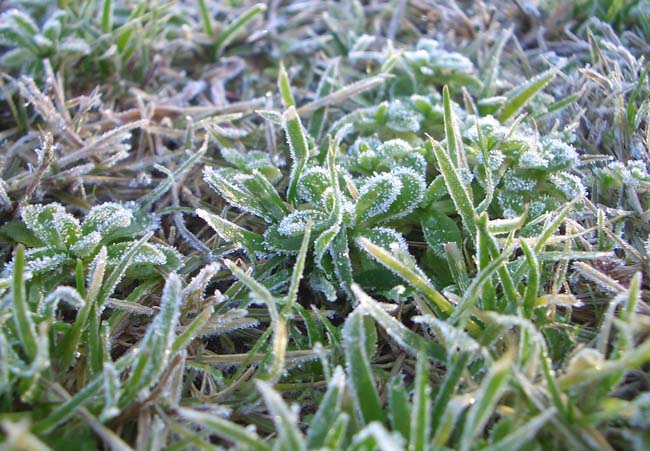 e0002850_2126298.jpg