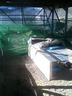 d0009952_23142567.jpg
