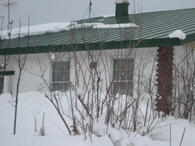a0075455_19542161.jpg