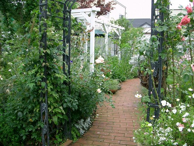 a0075455_19555716.jpg
