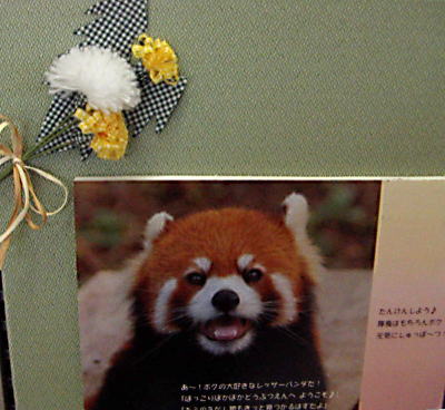 c0031856_23343925.jpg