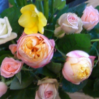 c0066157_2152482.jpg