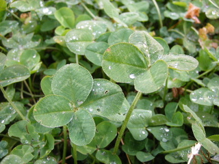f0043559_16393485.jpg