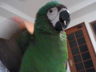 a0087164_21241545.jpg