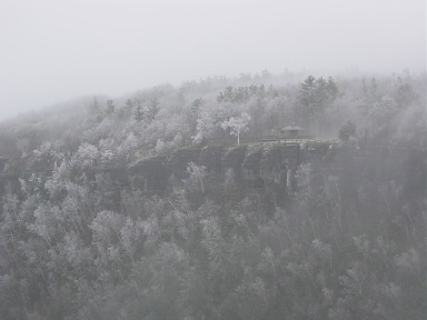 c0092467_1242432.jpg