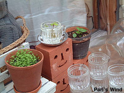d0034988_22114657.jpg