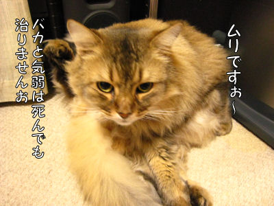 a0045990_019140.jpg