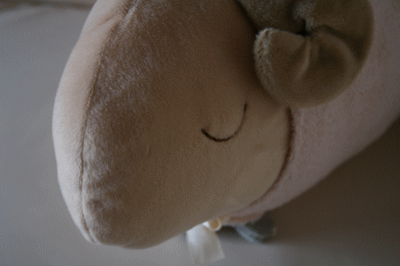 d0100192_15532943.gif