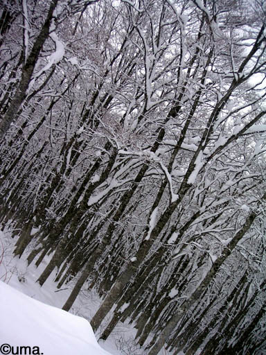 b0061004_22415971.jpg