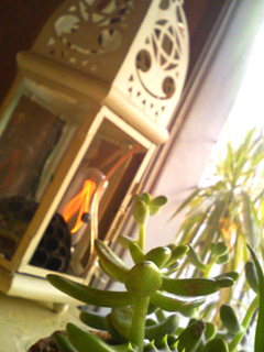 e0083204_234453.jpg