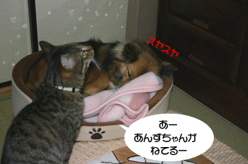 a0041108_21122228.gif