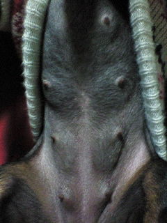 f0014416_20274862.jpg
