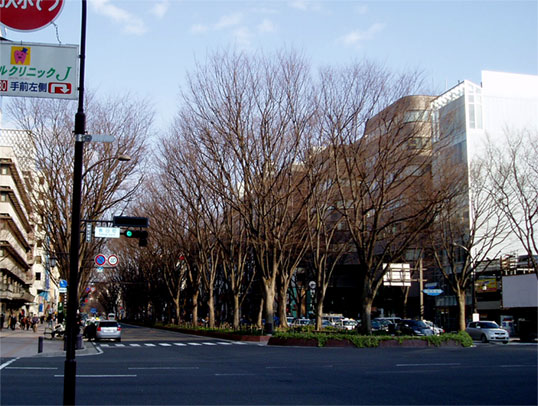 f0107517_1924145.jpg
