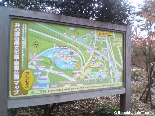 d0005621_2158169.jpg