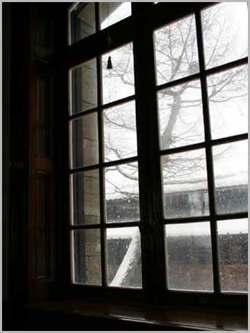e0001123_1624063.jpg