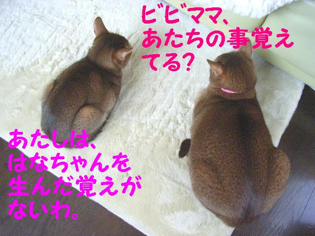d0081025_19505036.jpg