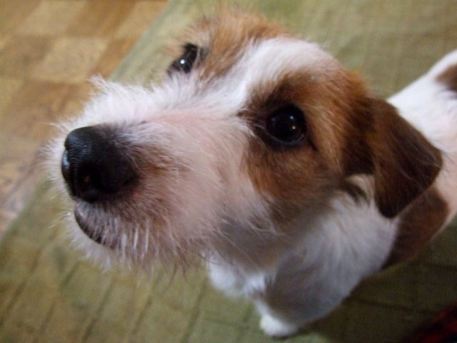 f0124526_0225874.jpg
