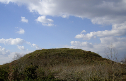 f0128527_8175155.jpg