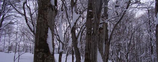 f0118332_2332634.jpg