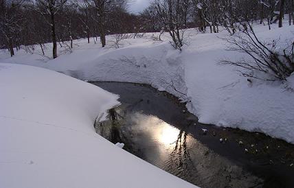 f0118332_23373835.jpg
