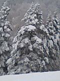 b0021937_2314263.jpg